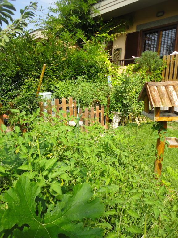 Girasolereale Bed And Breakfast ローマ エクステリア 写真